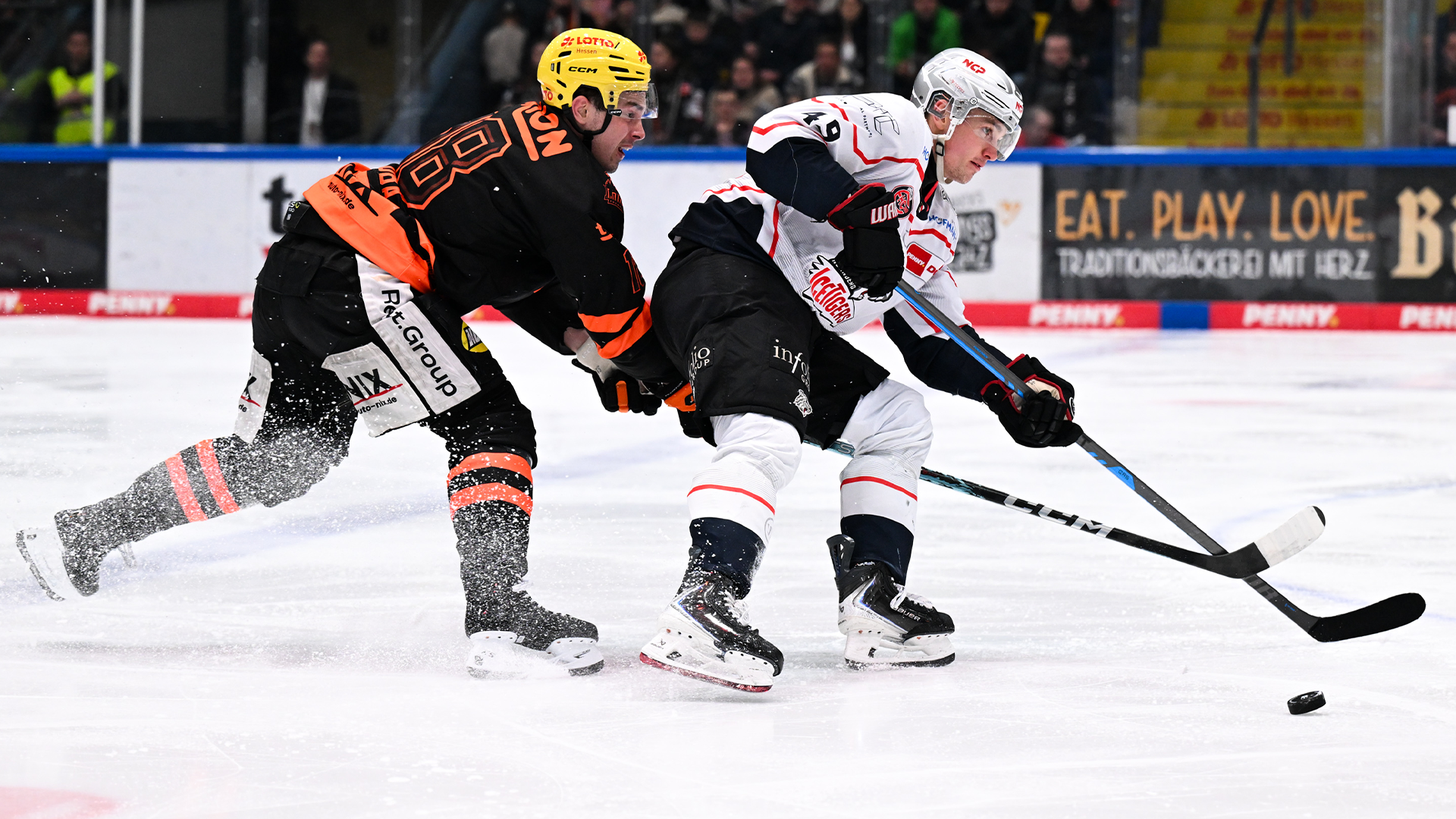 Löwen Frankfurt gg. Nürnberg Ice Tigers